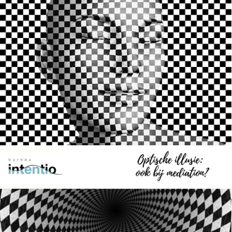 Je bekijkt nu Optische illusie: ook bij mediation?