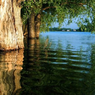 Je bekijkt nu Rust, reinheid en regelmaat: Yes, weer op zoek naar mijn ritme